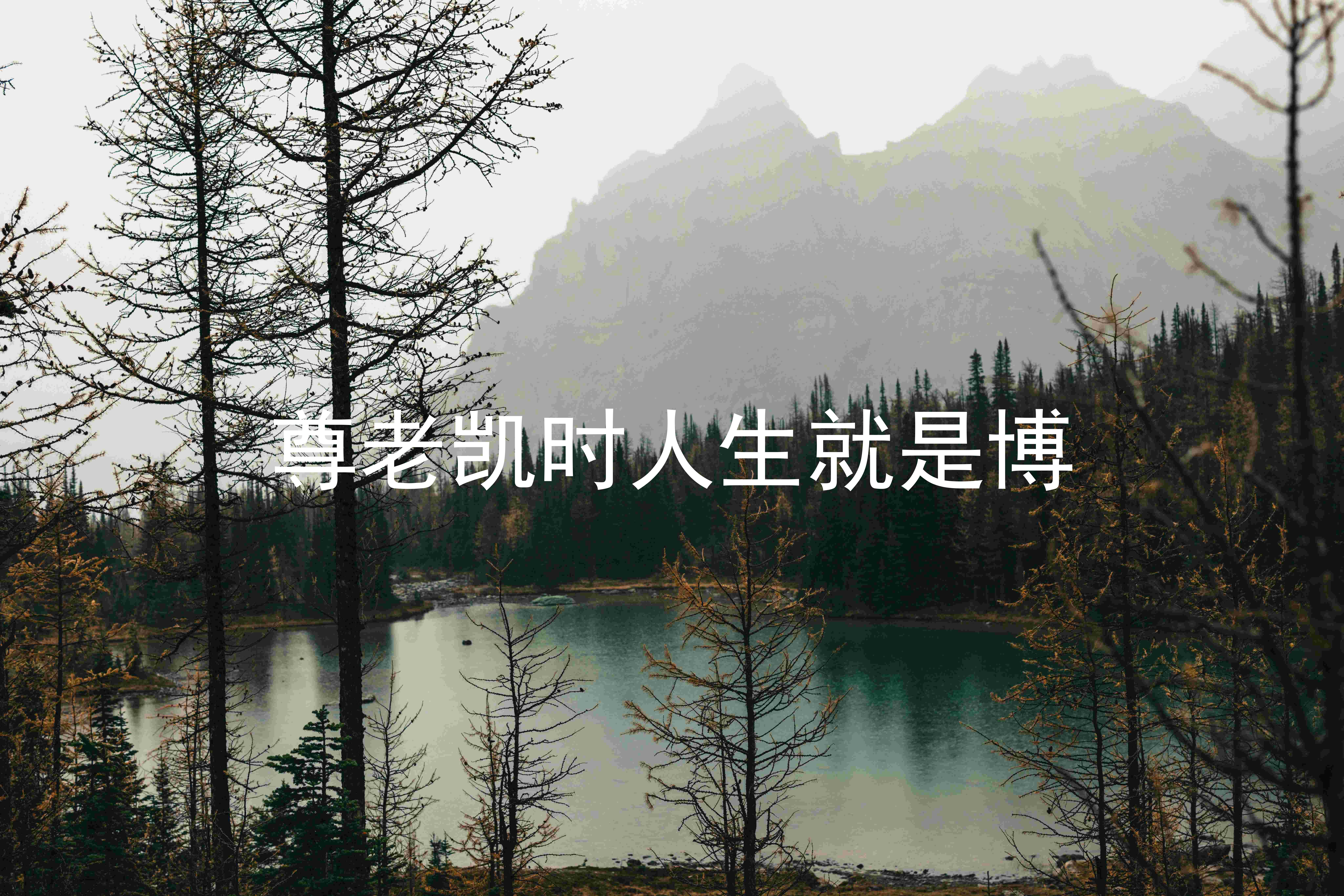 尊老凯时人生就是博