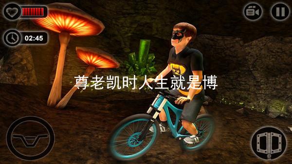 尊老凯时人生就是博