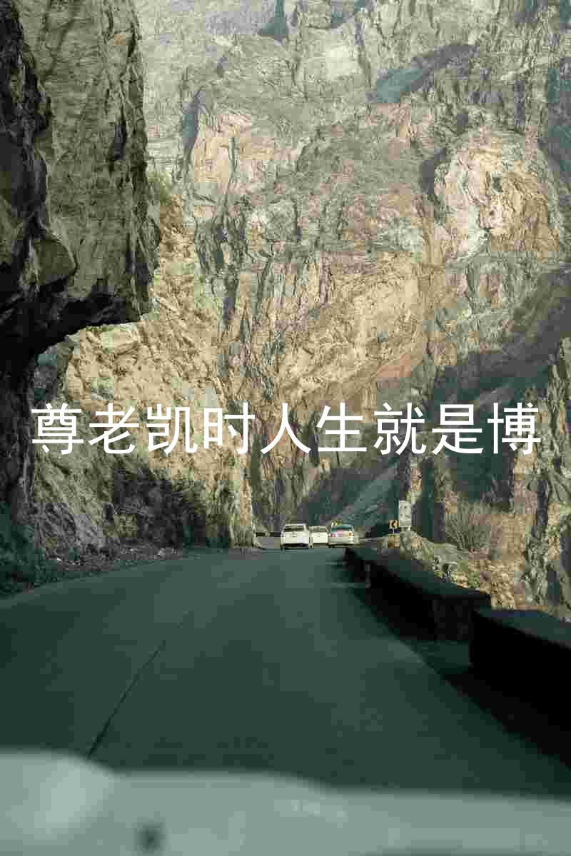 尊老凯时人生就是博