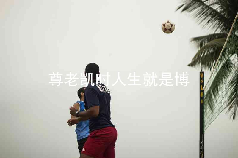 尊老凯时人生就是博