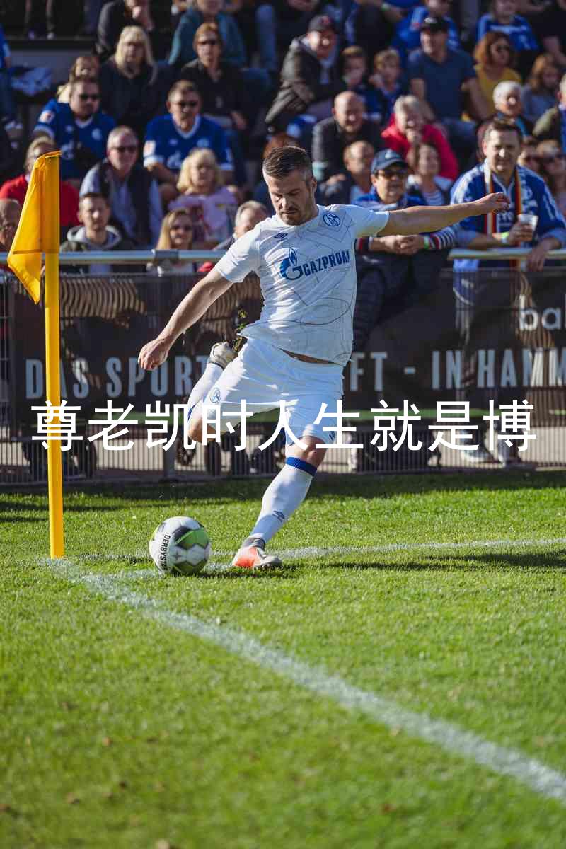 尊老凯时人生就是博