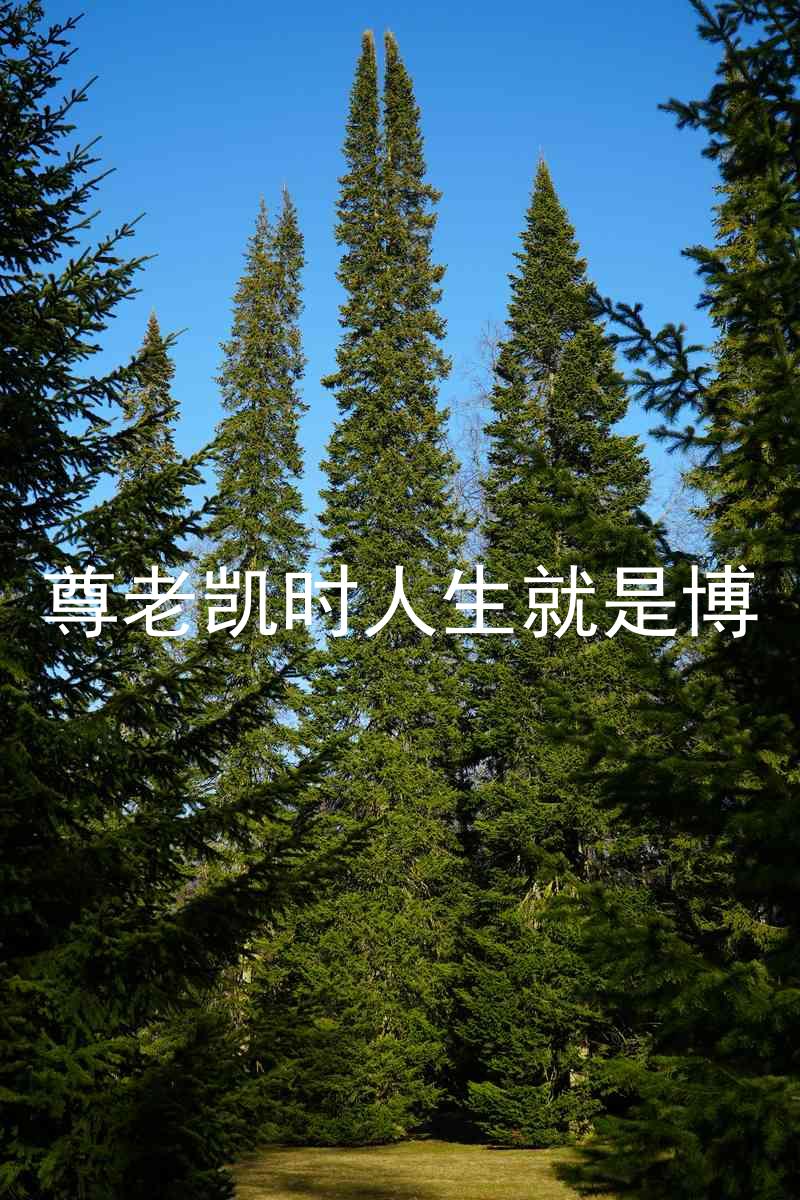 尊老凯时人生就是博
